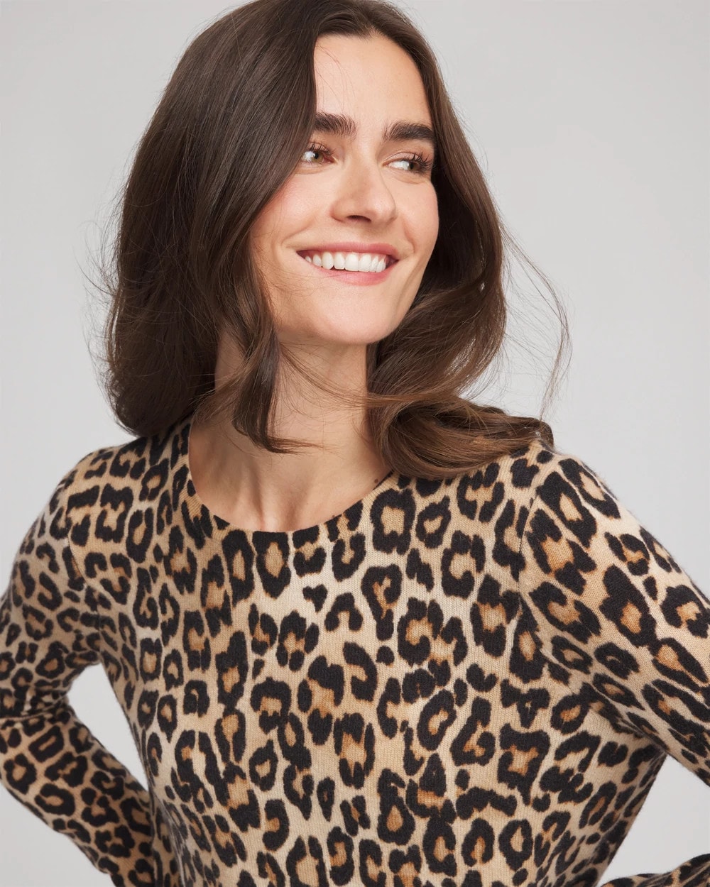 Cashmere Animal Long-Sleeve Pullover Sweater - Chico's