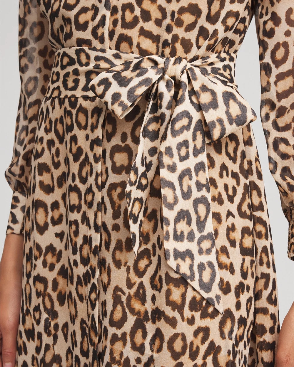 Cheetah-Print Godet Dress - Chico's