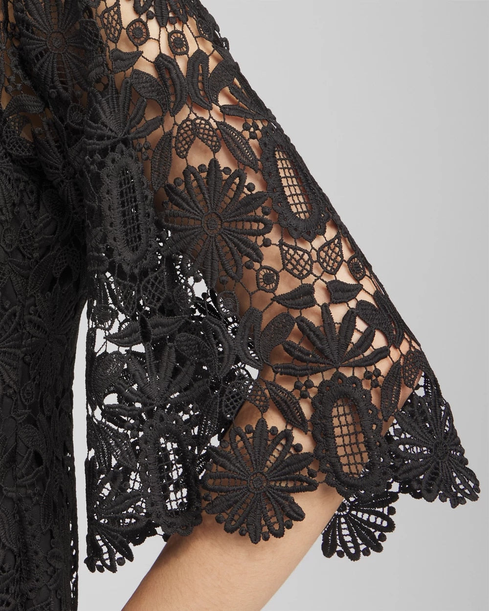 Lace Shift Dress - Chico's