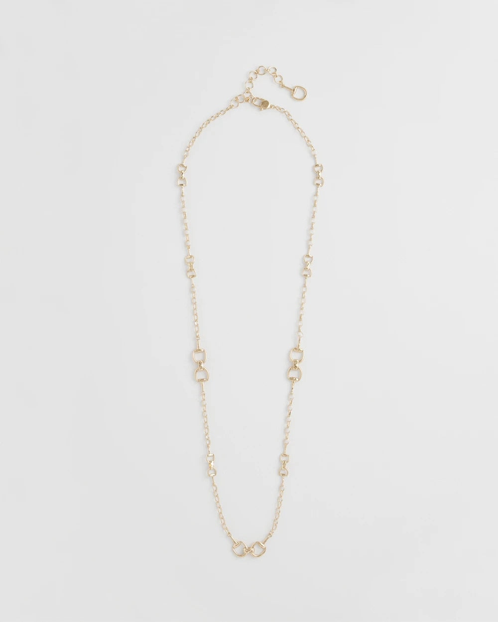 Equestrian Horsebit Long Link Necklace - Chico's