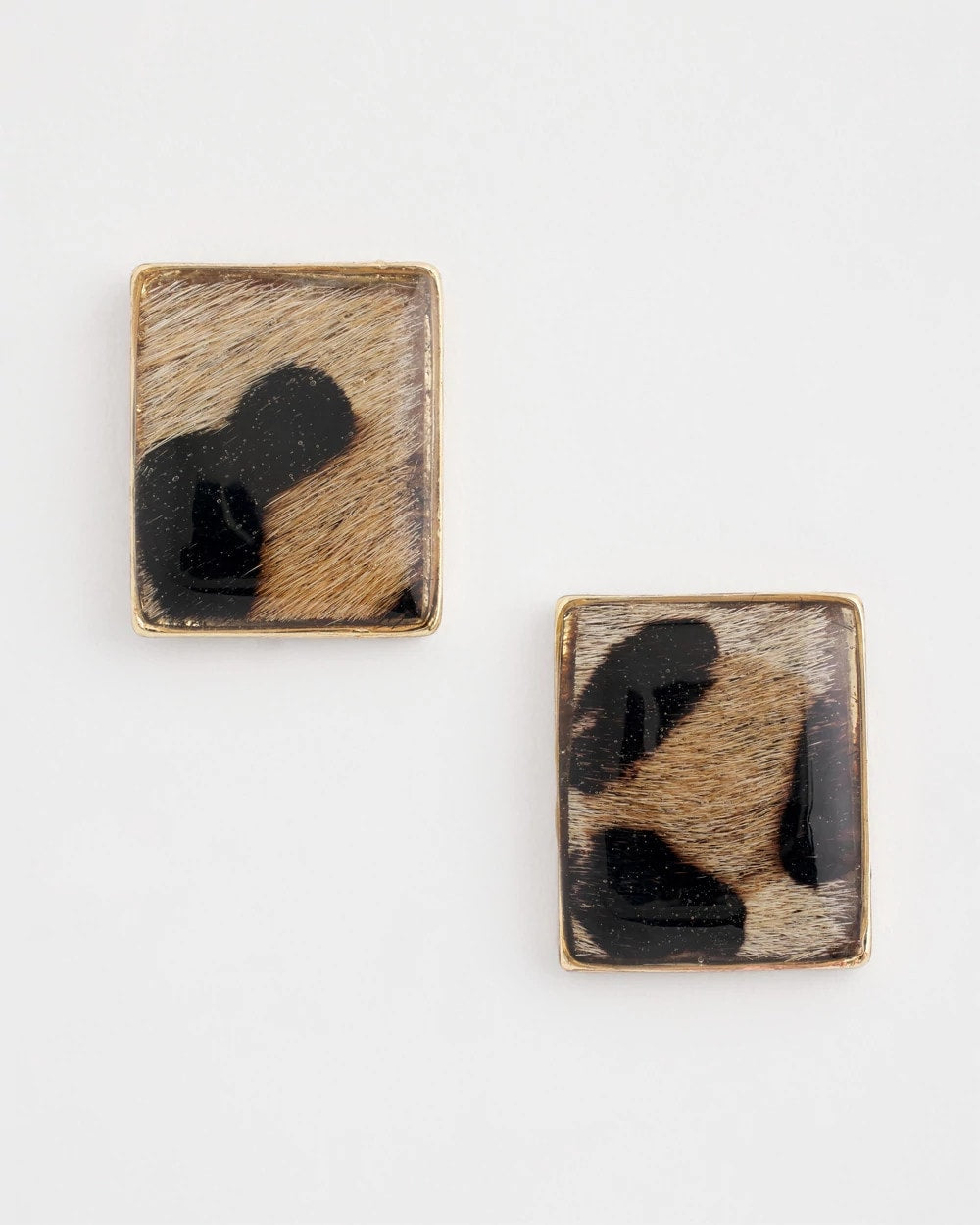 Chico's Originals Animal Square Stud Earrings - Chico's