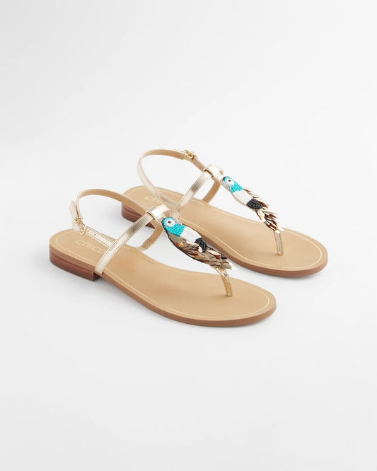 Beach Parrot T-Strap Sandals - Chico's