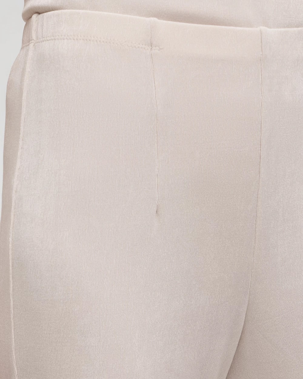 Petite Travelers™ No Tummy Pants - Chico's
